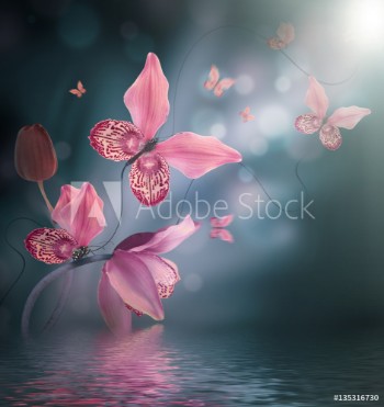 Bild på Amazing butterflies from the petals of orchids floral background Flowers and insects